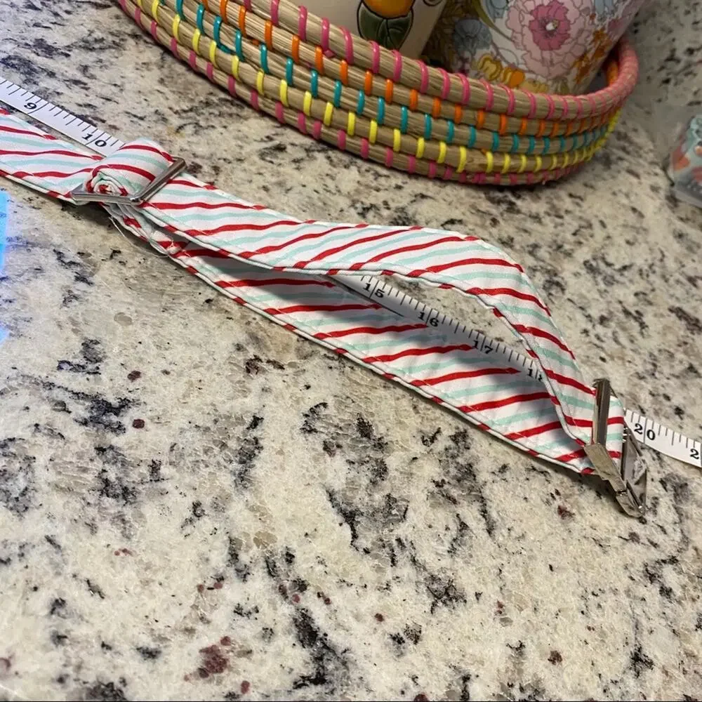 NWT • Red + Mint Striped Dog Bow + Collar